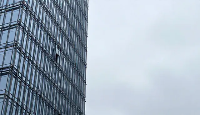 用户授权在域名管理中的合规管理挑战